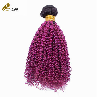 Afro Kinky Curly Dark Root Purple Ombre Virgin Human Hair Bundles For Sale