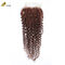100% 99J Ombre Human Hair Extensions Raw Cambodian Bundles