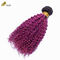 Afro Kinky Curly Dark Root Purple Ombre Virgin Human Hair Bundles For Sale