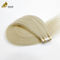 20PCS Volume Blonde Tape In Hair Extensions Bundle Hairstyle