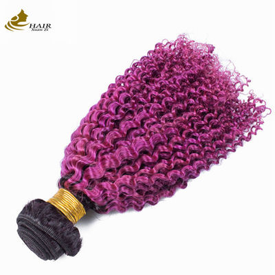 Afro Kinky Curly Dark Root Purple Ombre Virgin Human Hair Bundles For Sale