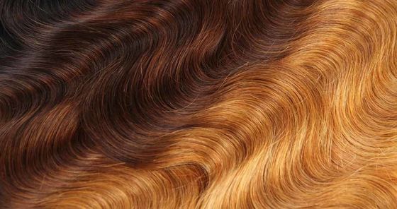 1B 4 27 Curly Ombre Virgin Hair Body Wave Extensions With Closure