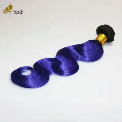 Popular Color Remy Human Hair Weave Blue Color Ombre Human Hair Extensions