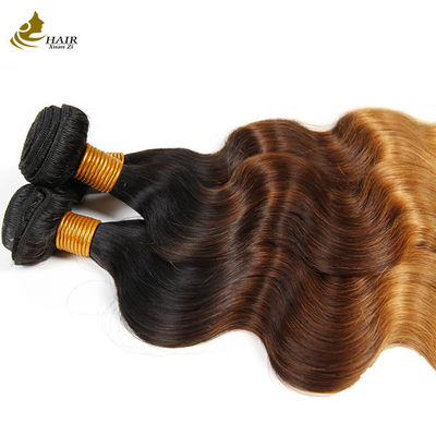 Ombre Body Wave Brazilian Virgin Hair Weave Human Hair Bundles With Closure