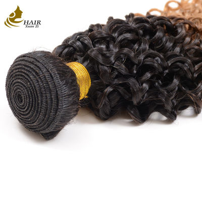 100% Unprocessed Virgin Hair 1b/27# Color Wholesale Brazilian Human Hair Bundles